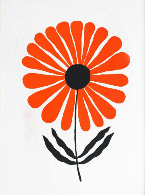 Elena Nogues 'Floral Illustration' Print Available