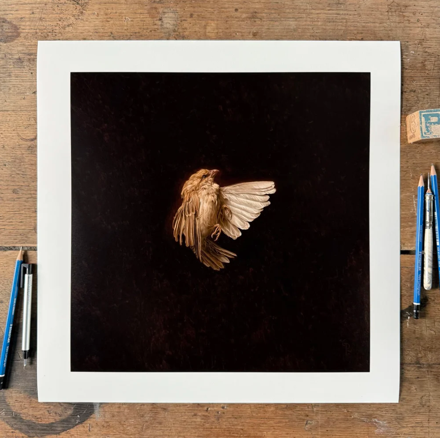 Grant Perry 'Stygian' Print Available