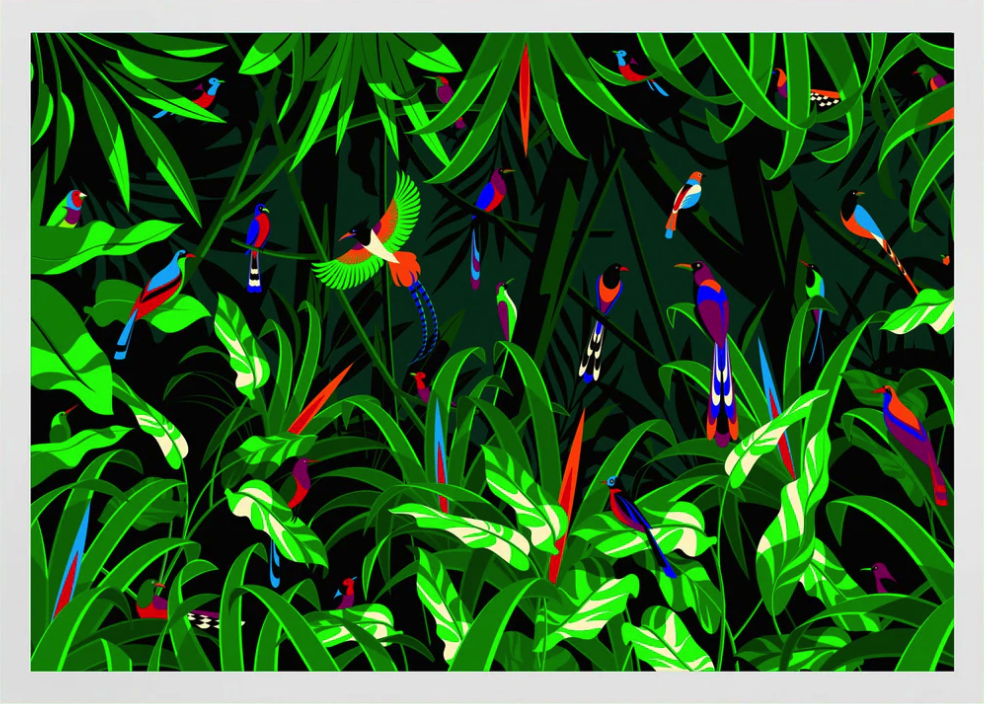 Malika Favre 'Birds Of Paradise' Print Available