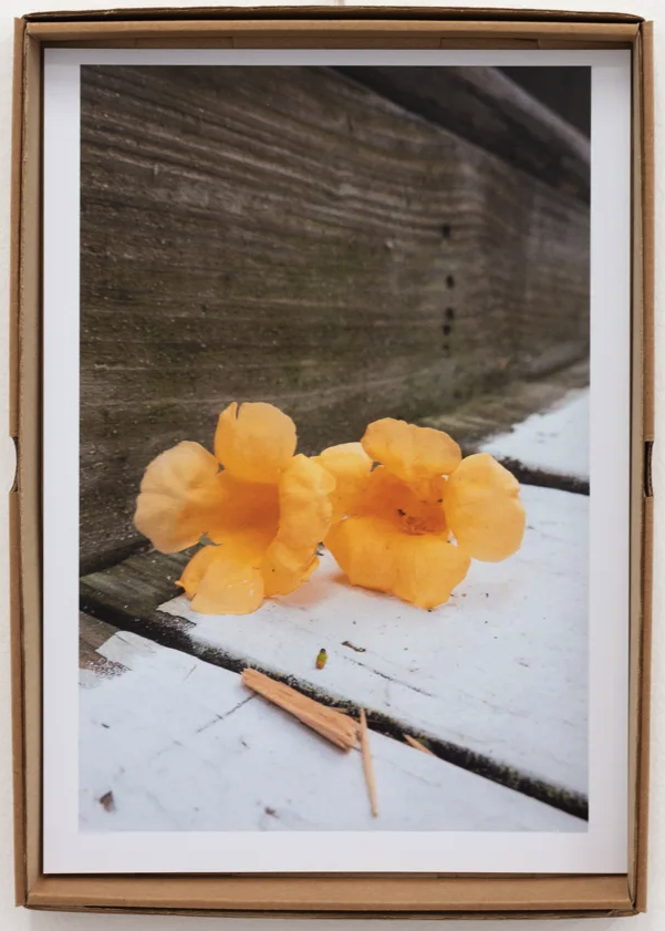 Wolfgang Tillmans 'Bonner Kunstverein' Print Available