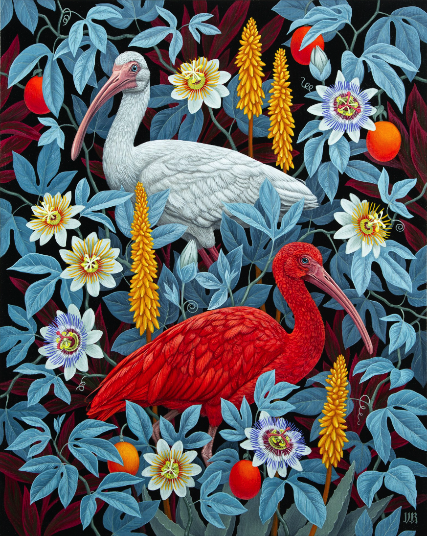 Vasilisa Romanenko 'Ibises' Print Available