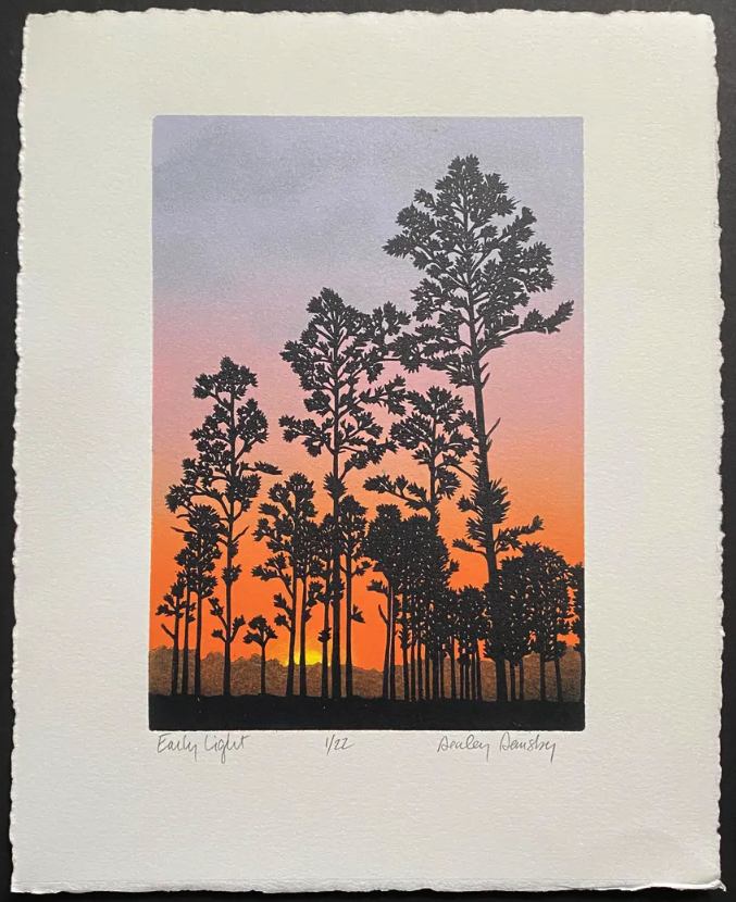 Dealey Dansby 'Early Light' Print Available