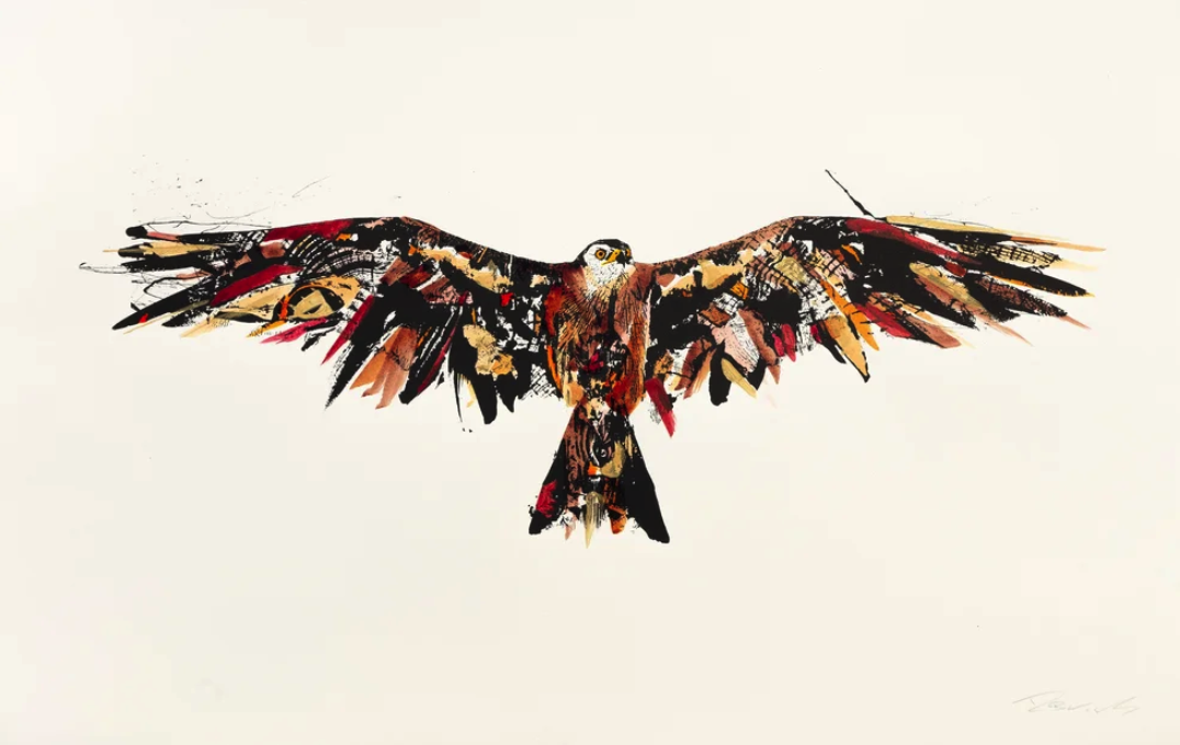 Rob Wass 'Red Flight' Print Available