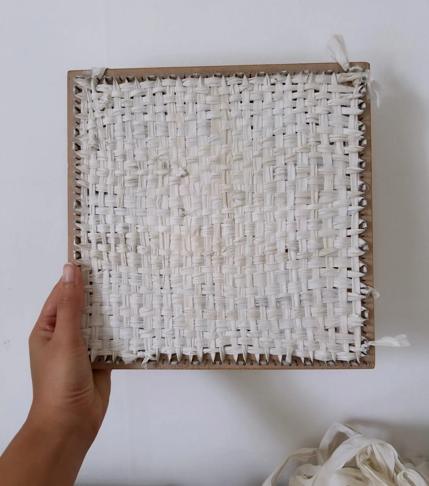 Spring things! 🍦🤍🪿