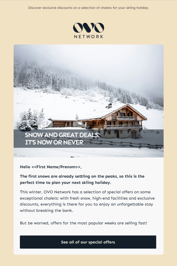 Newsletter – OVO Network – EN