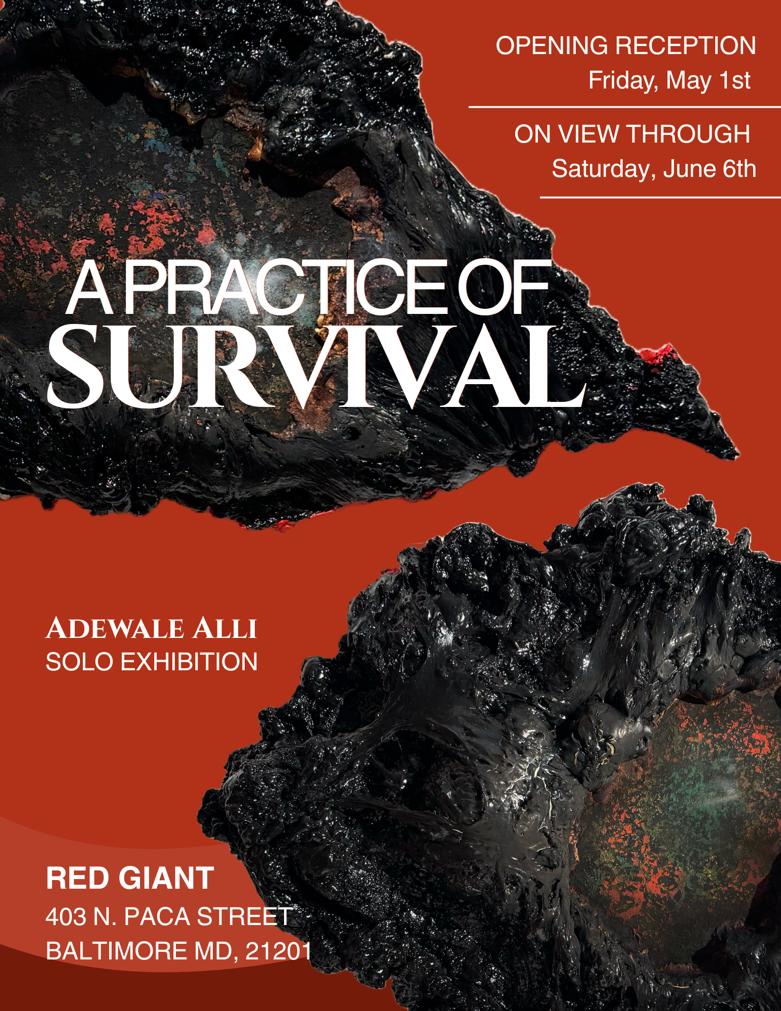 The Practice of Surival-2.png