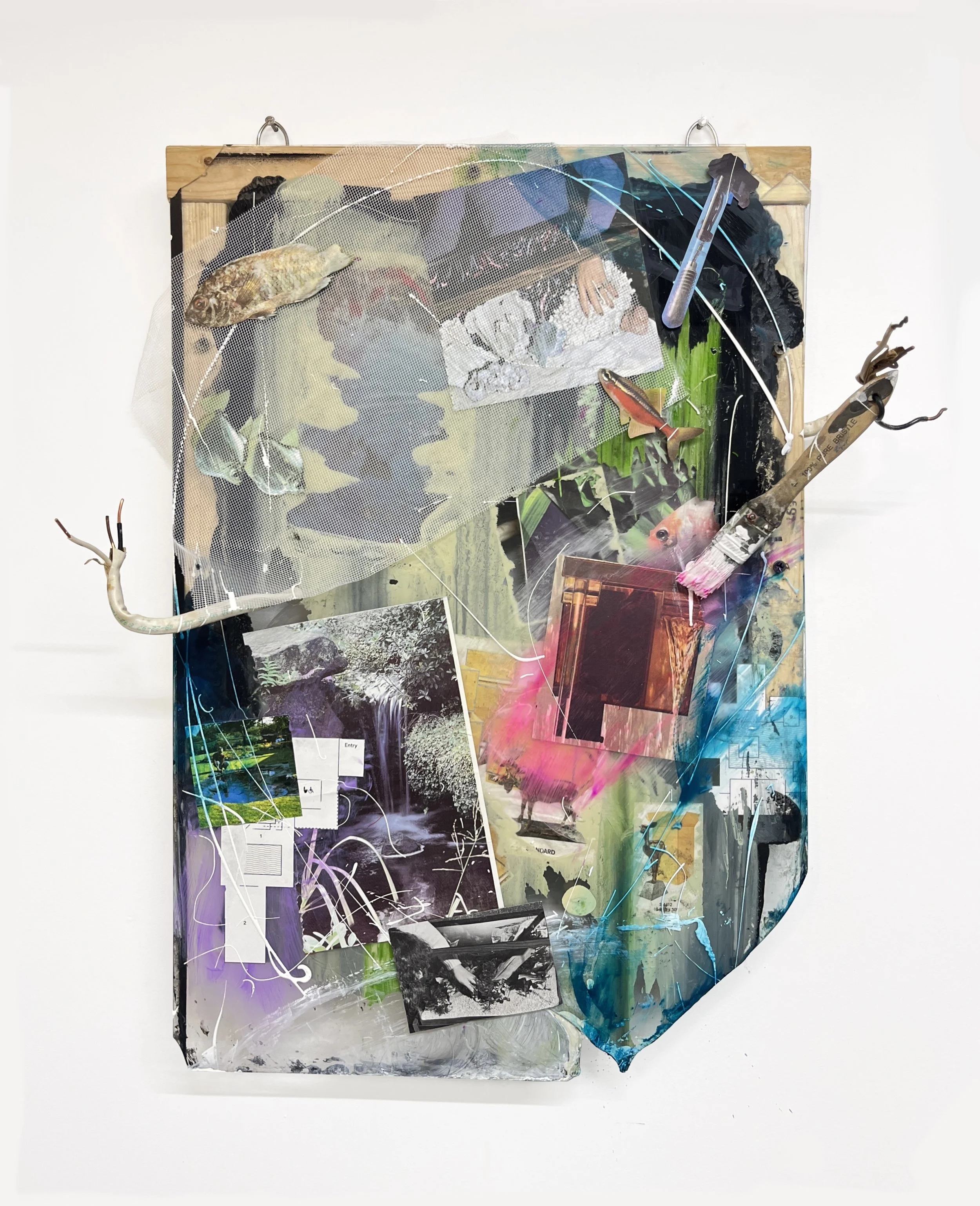 Mixed-media collage art piece with photographs, paint, and objects on a canvas, including fish, photos of waterfalls, and abstract shapes.