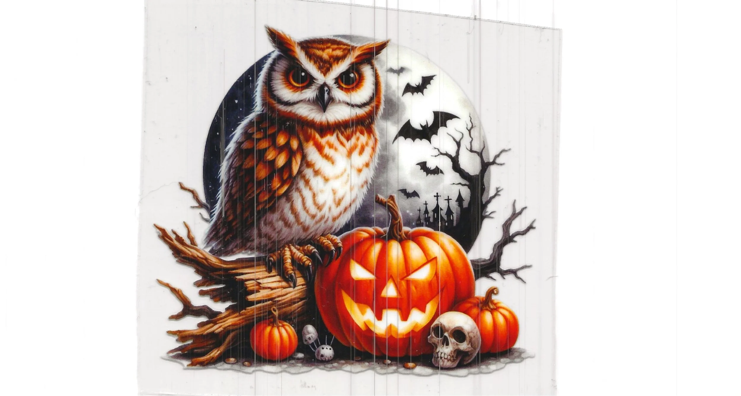 Owl and Pumpkin.jpg