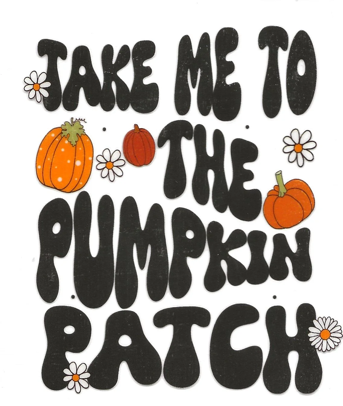 Take Me to the Pumpkin Patch.jpg