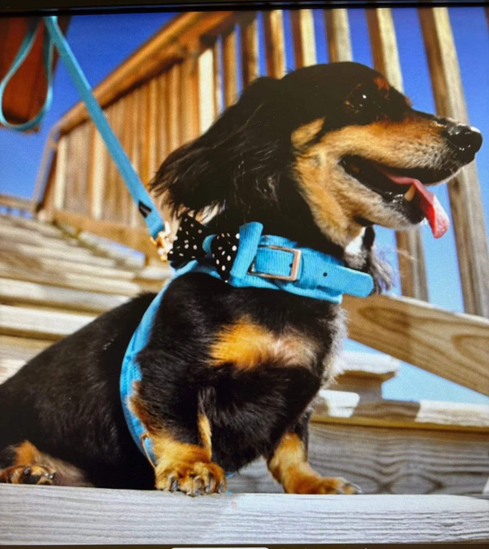 “Alton Honor” LeDonne