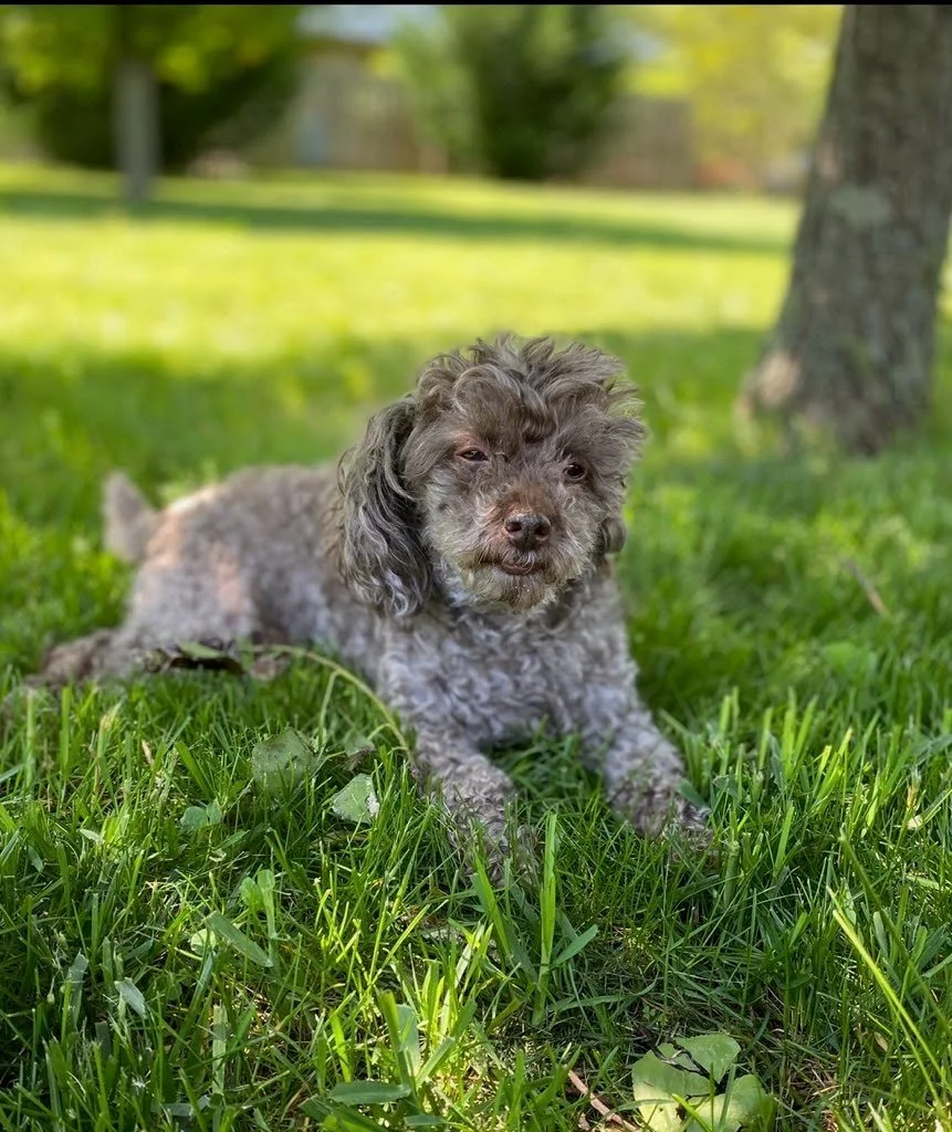 “Bear” Murphy