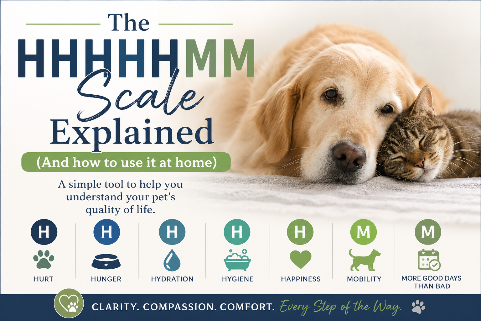 The HHHHHMM Scale Explained(And How to Use It at Home)