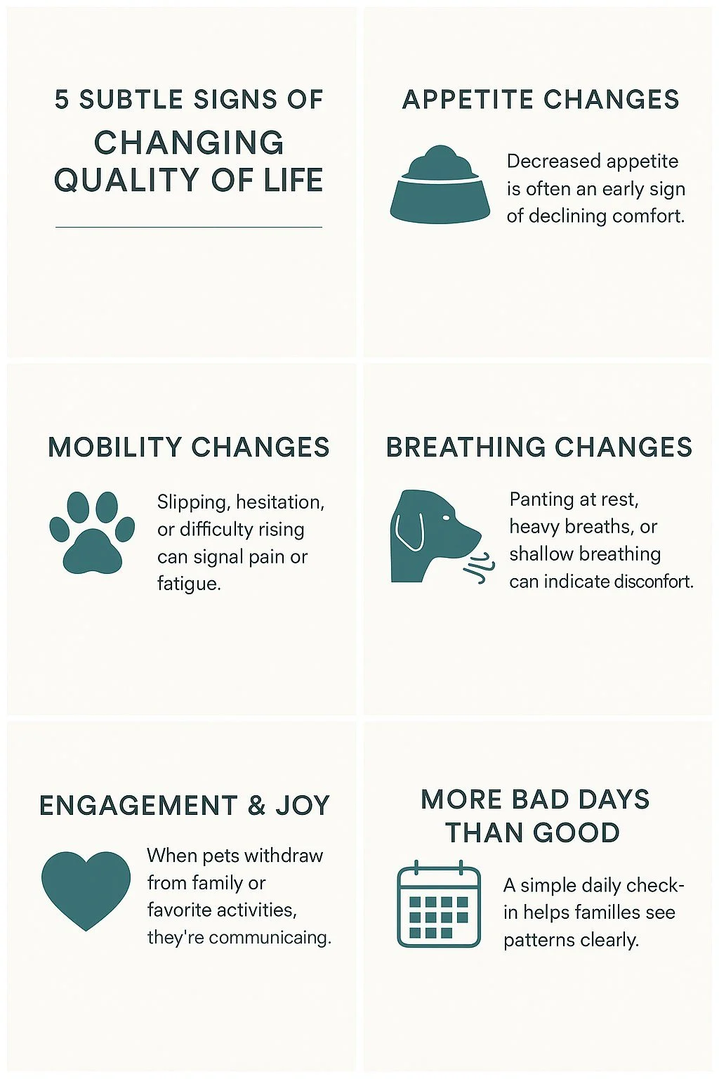 How do I know when my pet’s quality of life is changing?