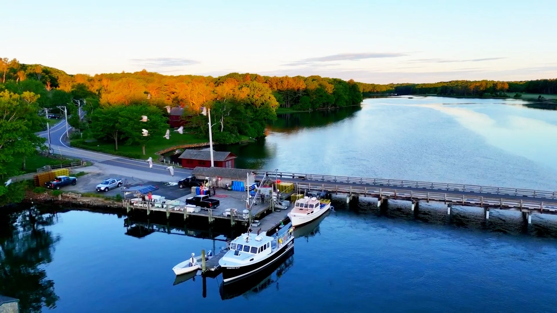 Aerial view of a marina with two boats docked, surrounded by water, trees, and a small parking area with cars.