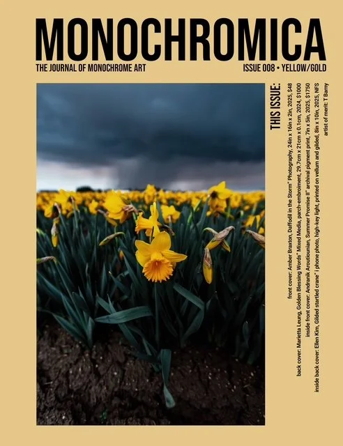 Artist of Merit: T Barny Featured in Monochromica Issue 008