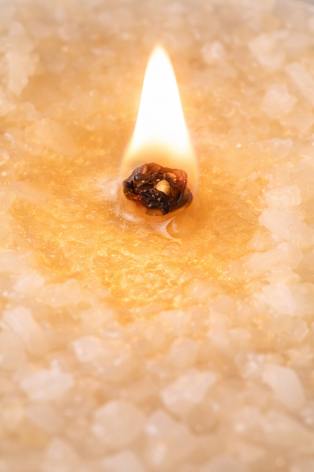 Close-up of wooden wick flame on Santal & Coconut soy candle showing warm glow and clean burn