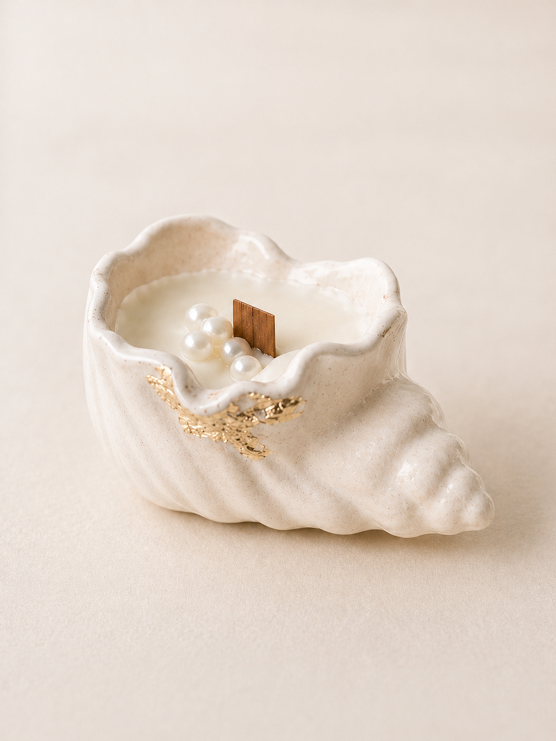 seashell.PNG