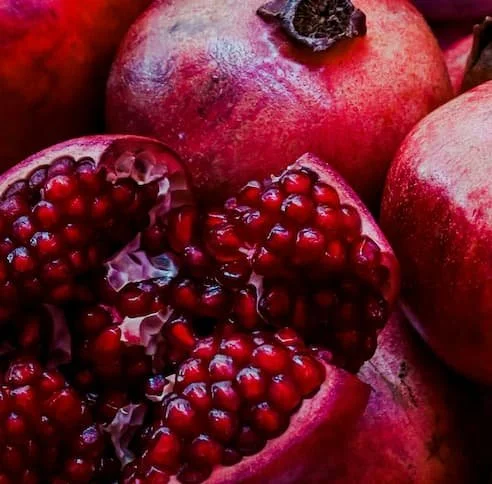 Solo Package - The Nourished Conception Method