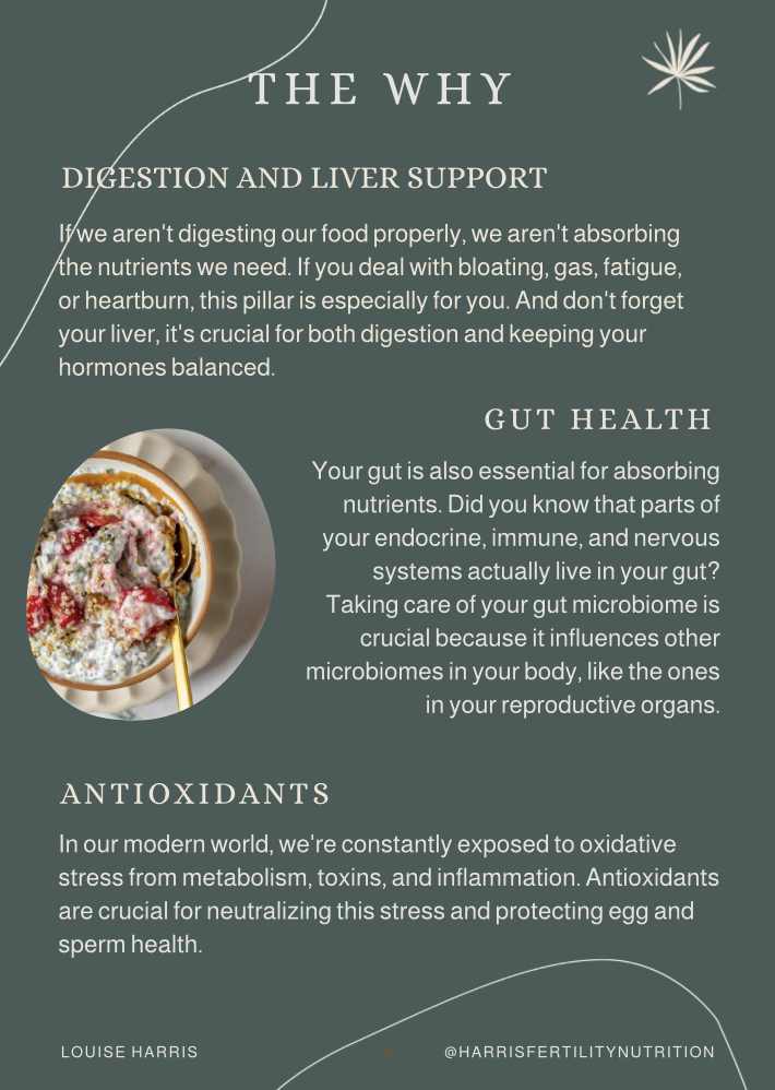 Screenshot 2026-02-15 at 8.17.10 PM.png