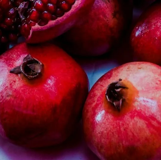 Fertility Nutrition Online Course