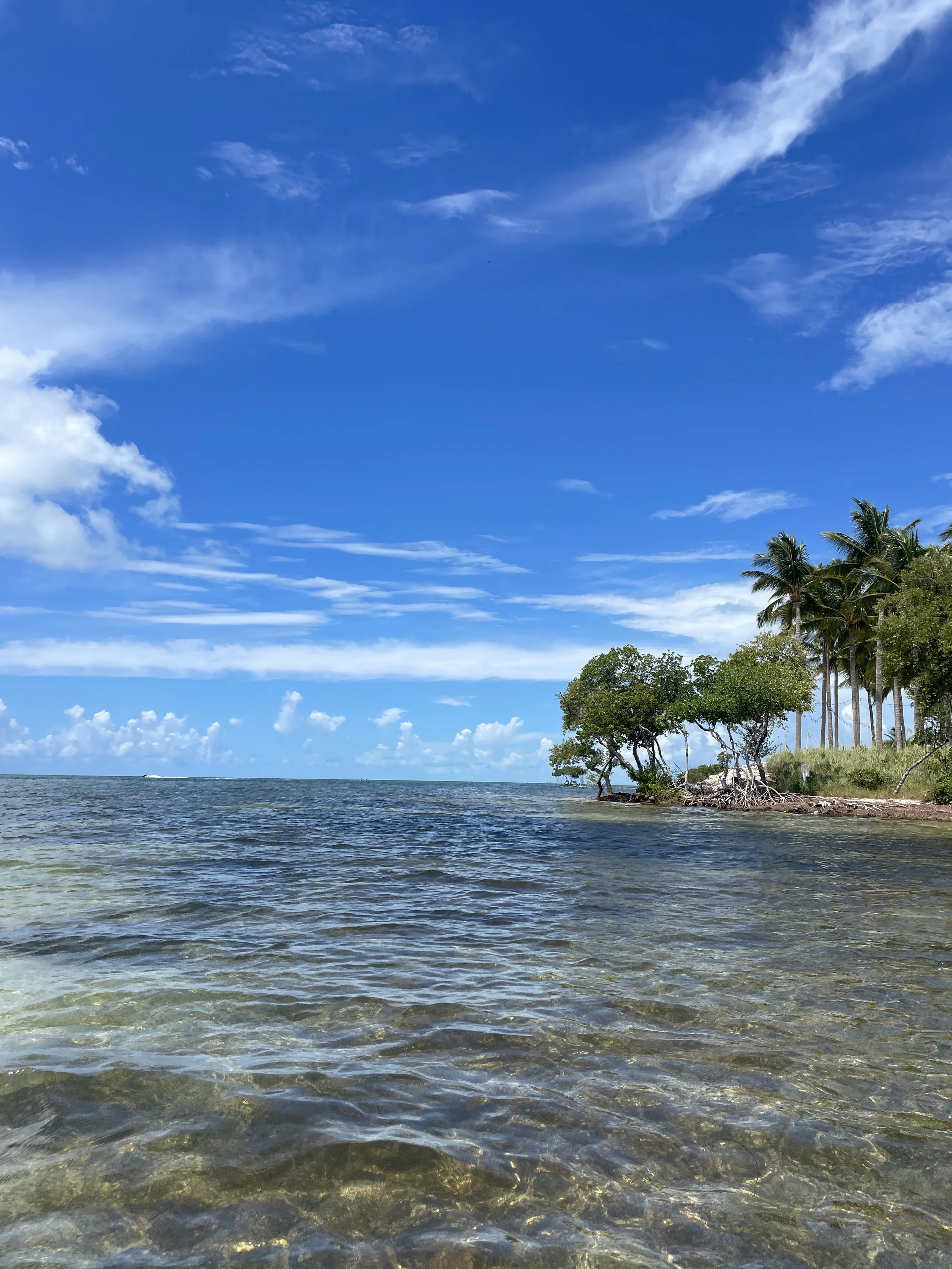 How do I plan and book a trip?