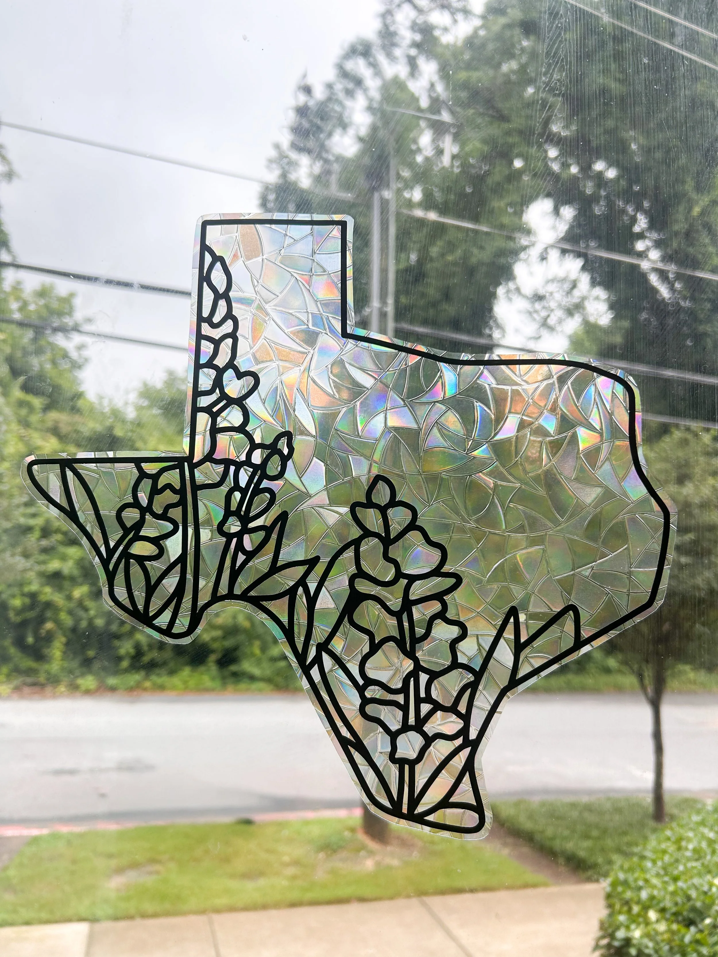 Texas Bluebonnet Window Cling