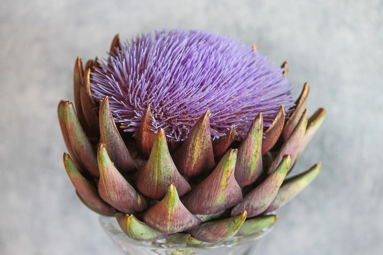 Eine Blumenarrangement aus einer violetten Artischocke mit blühender Blume auf der Oberseite, in einer gläsernen Vase