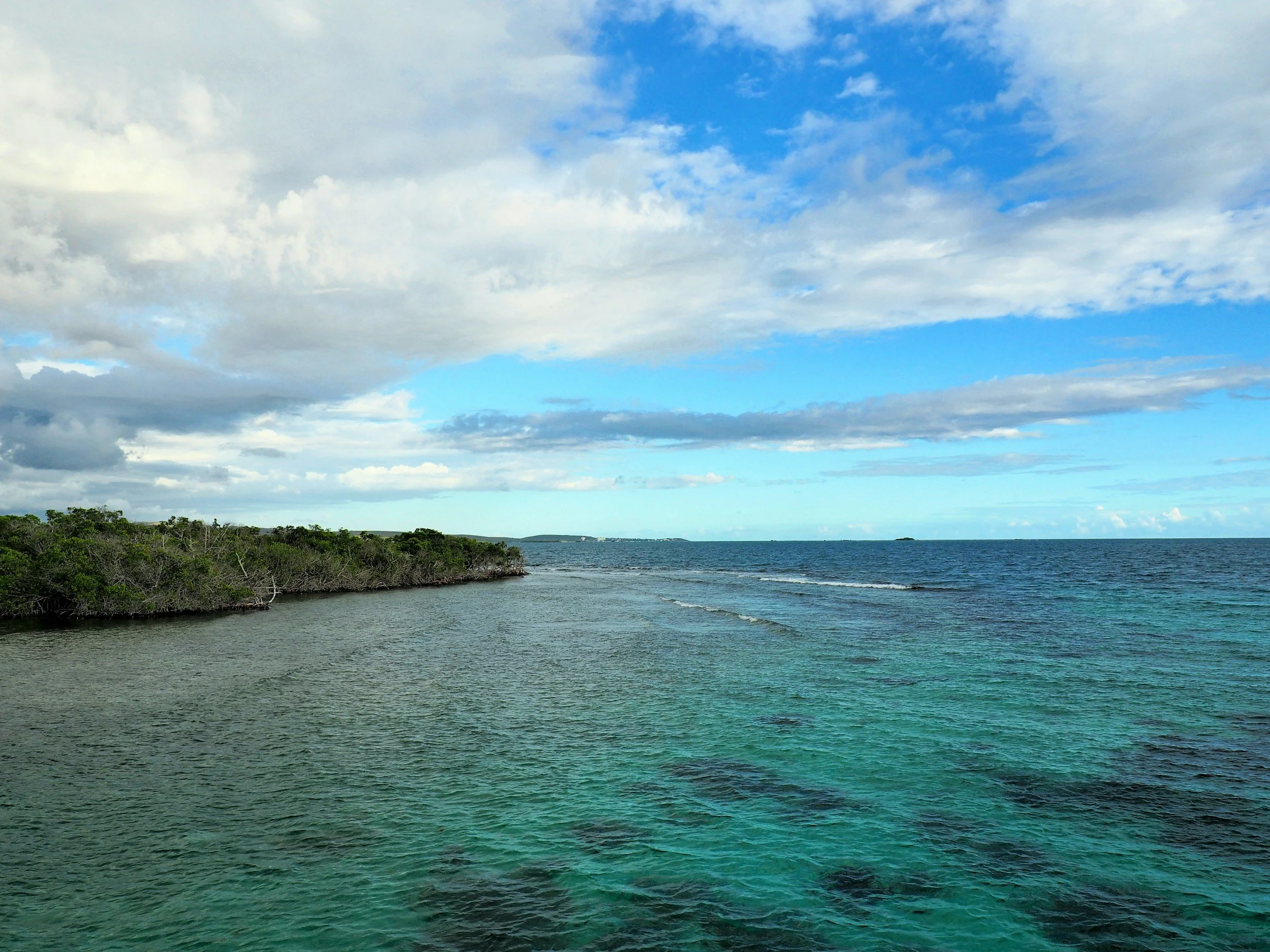 A scenic view of the ocean with a small tree-covered island or peninsula on the left, calm turquoise water in the foreground, and a partly cloudy sky with patches of blue.