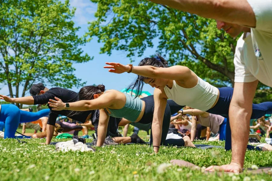 People practicing outdoor yoga on grass in a park on a sunny day, with trees and blue sky in the background.