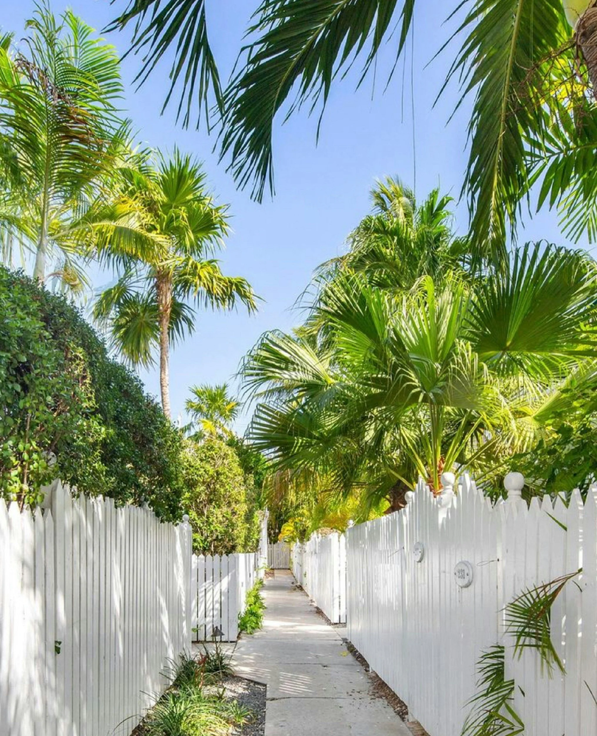 Boundary Survey- Resolving a Neighbor Dispute with Precision