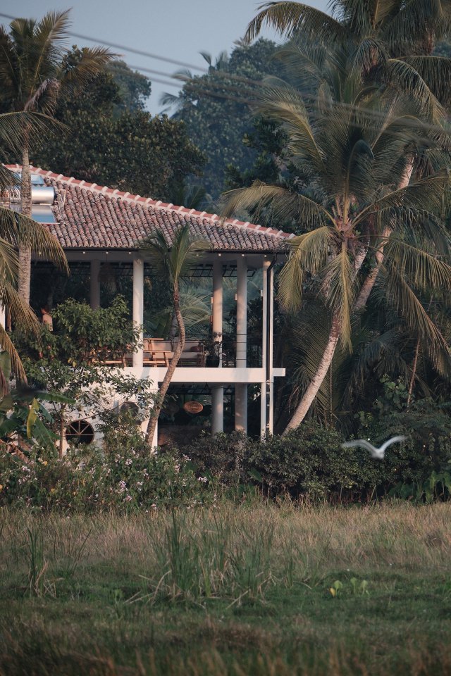 flowground_ahangama497.jpg