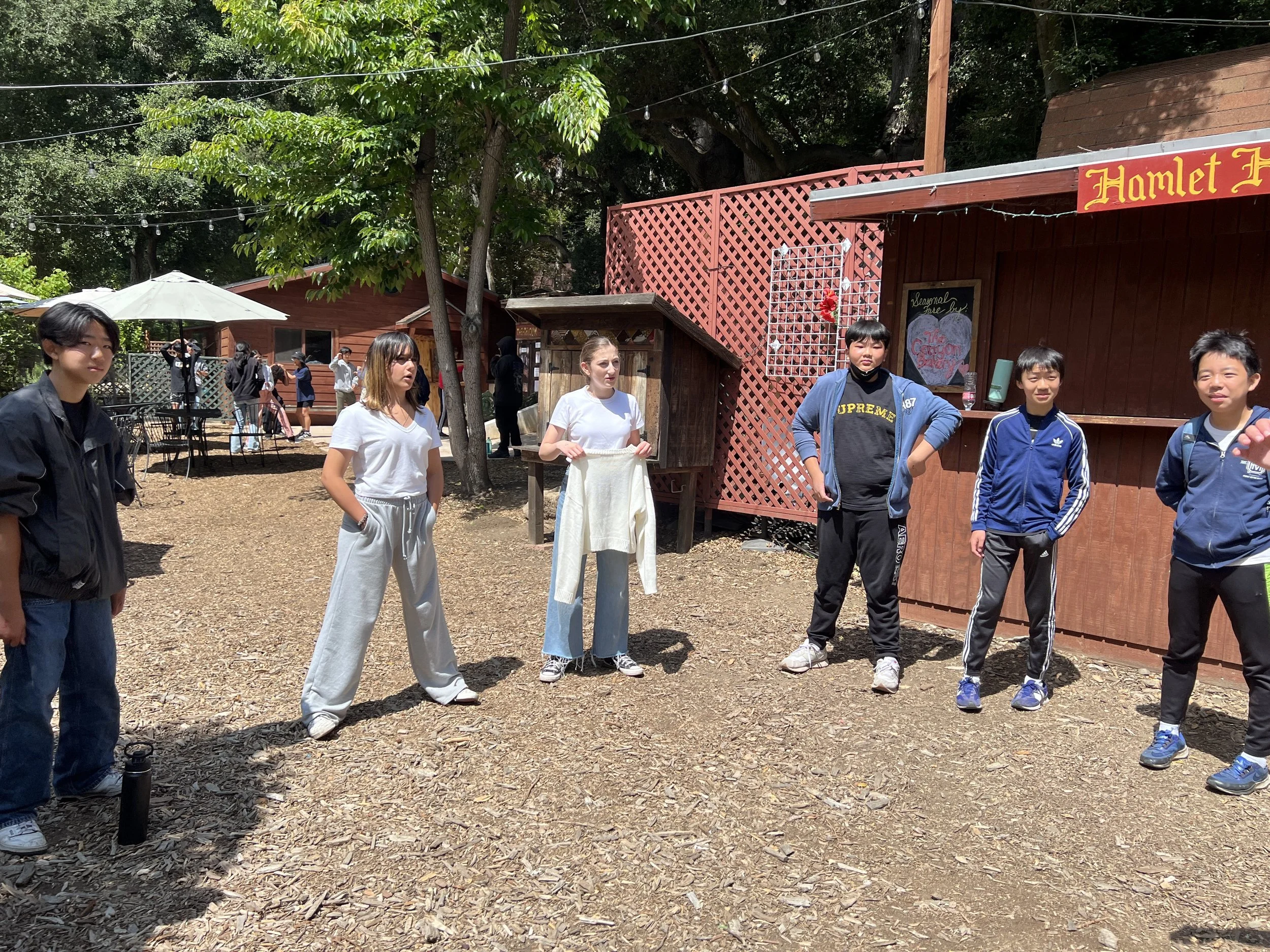 Learning about Shakespeare