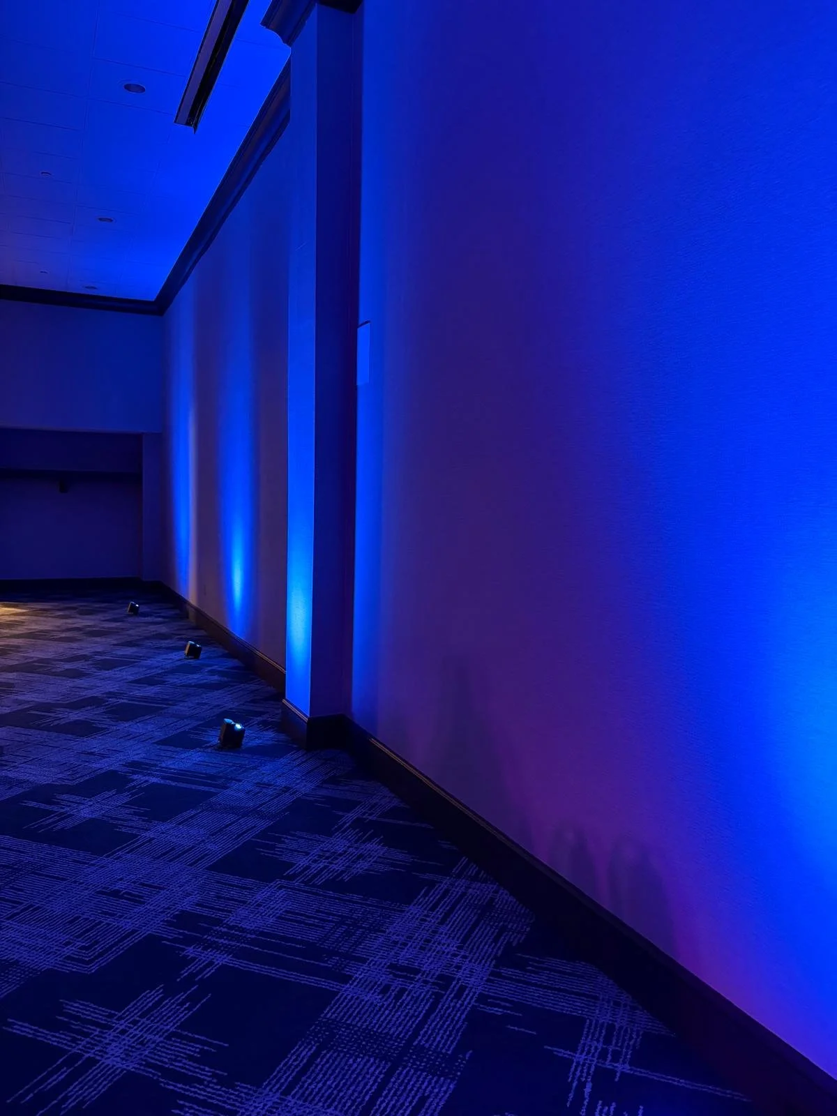 An empty room with blue lighting, textured carpet flooring, and a plain wall illuminated by vertical blue lights.