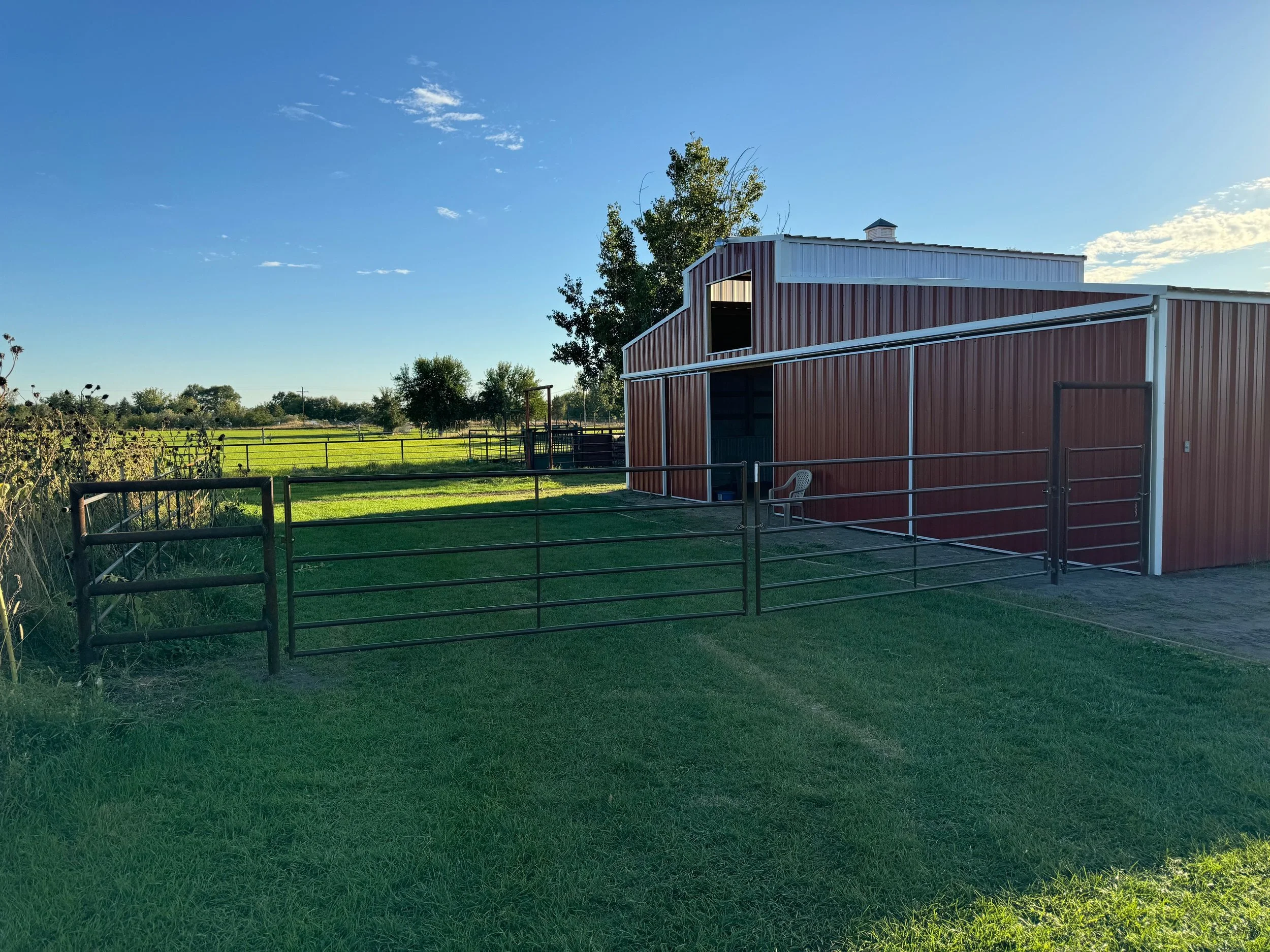 A red metal barn with a white framing, a chair outside, and a fenced grassy area on a clear sunny day.