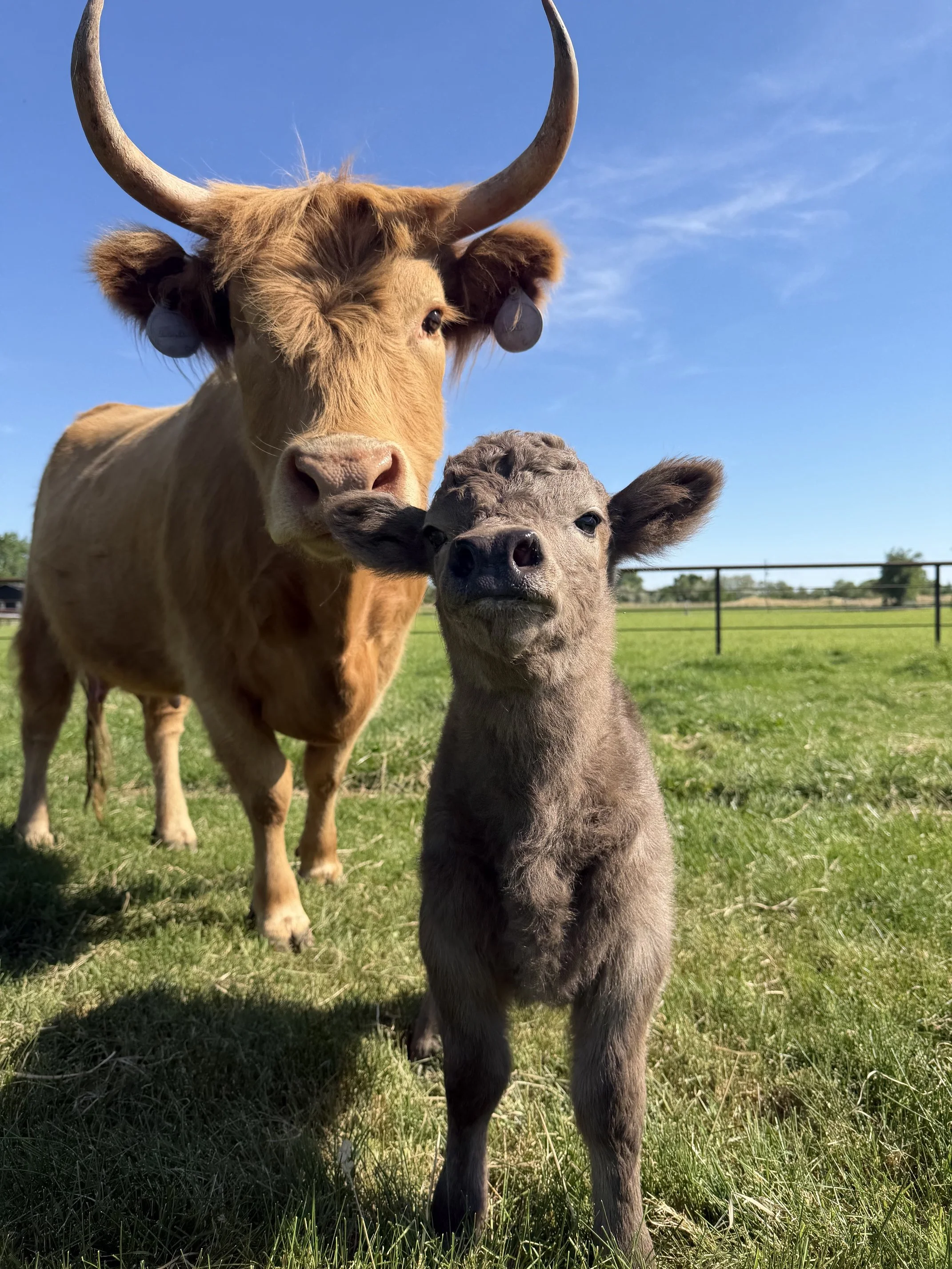 IMG_7959.jpeg