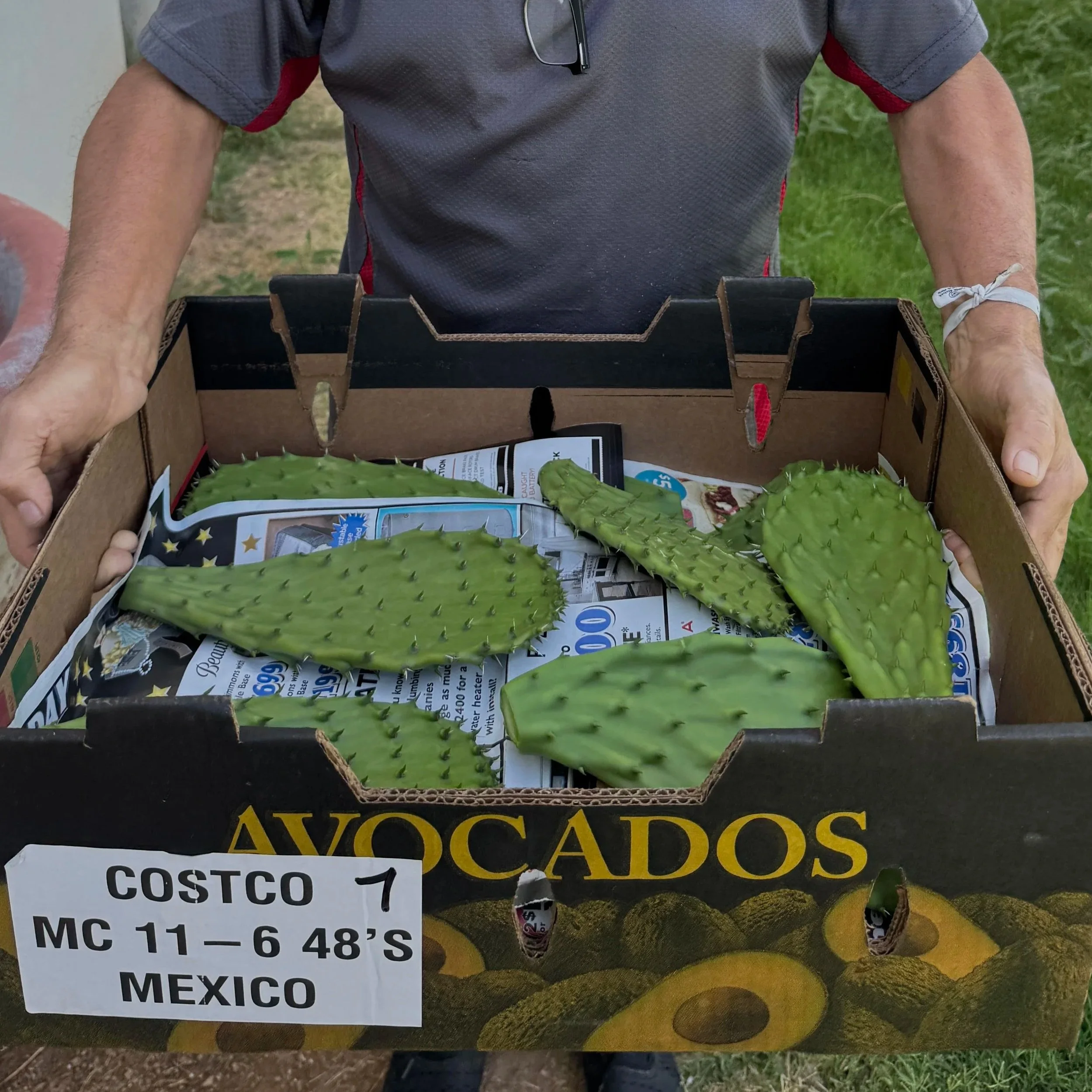5 Ways Mexican Food Can Be Part of a Healthy Diet