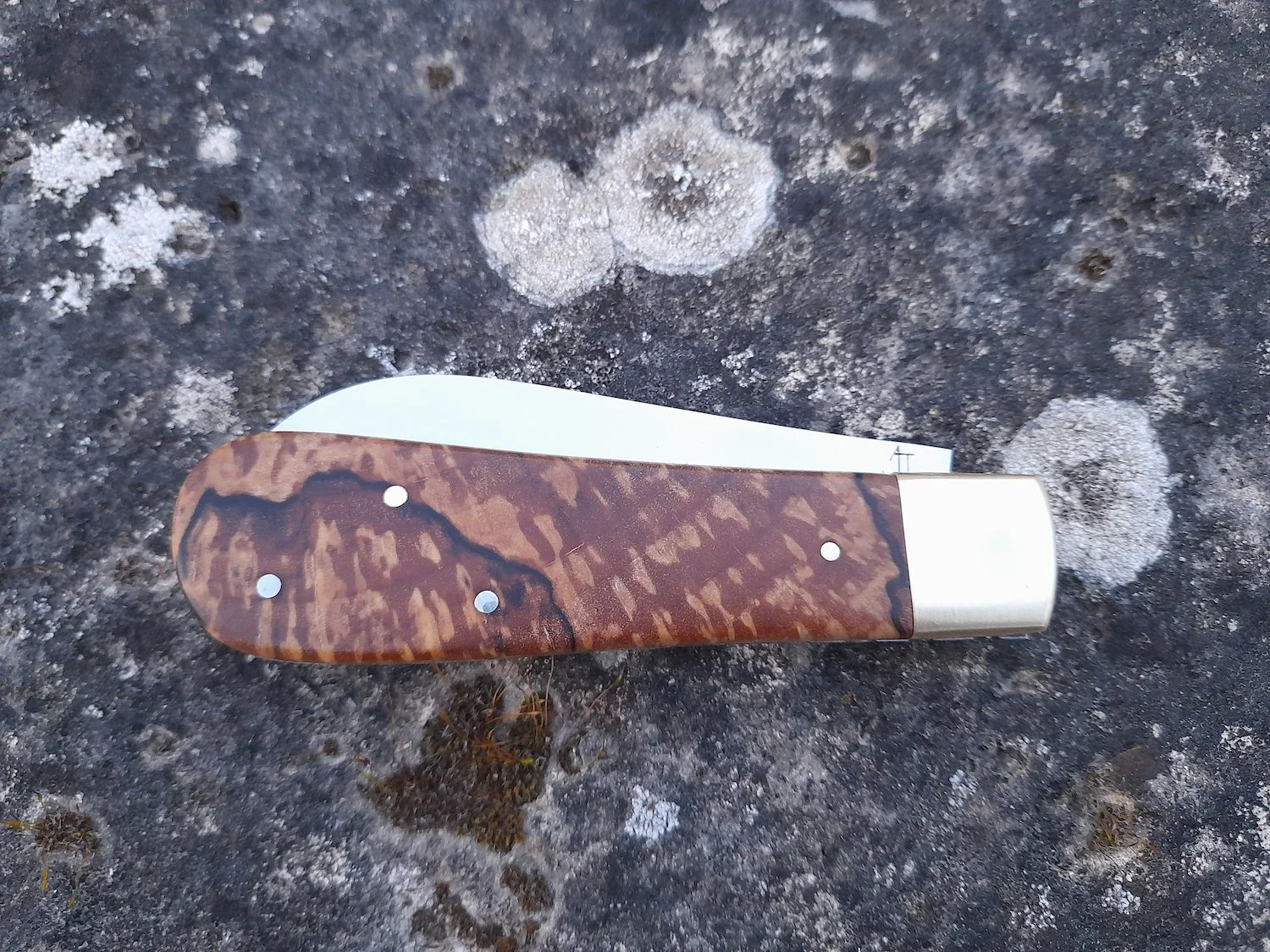 Juliette Tanguy_workshop_she blades2.jpg