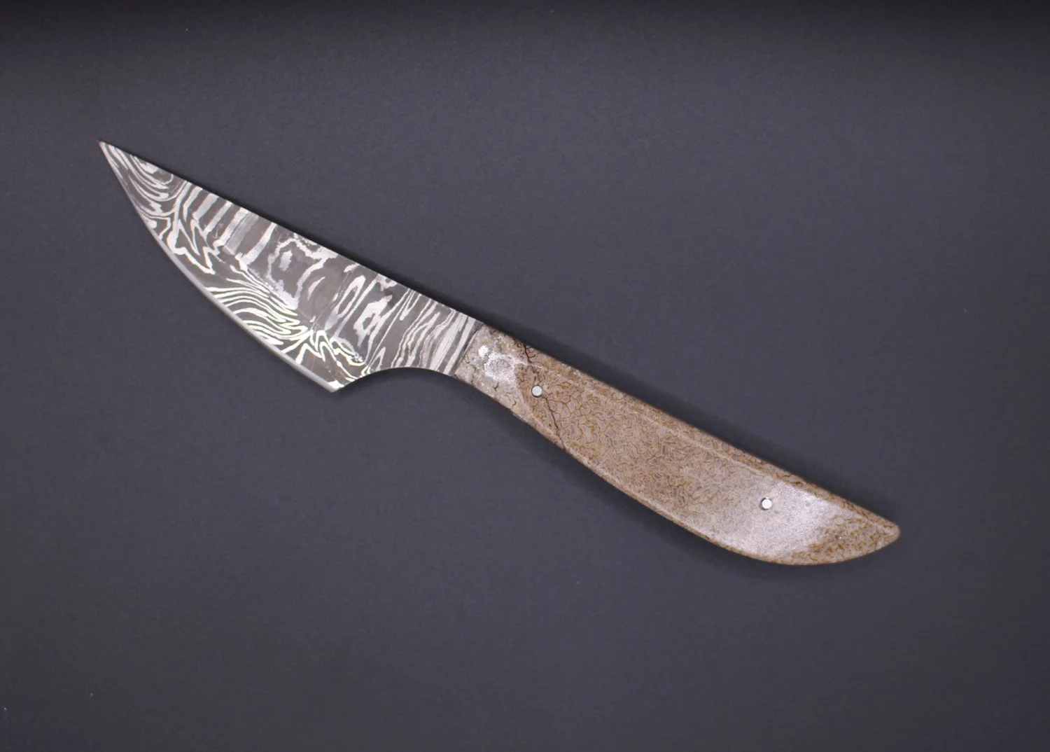 Couteau fixe dino Sophie Fauré B1.JPG