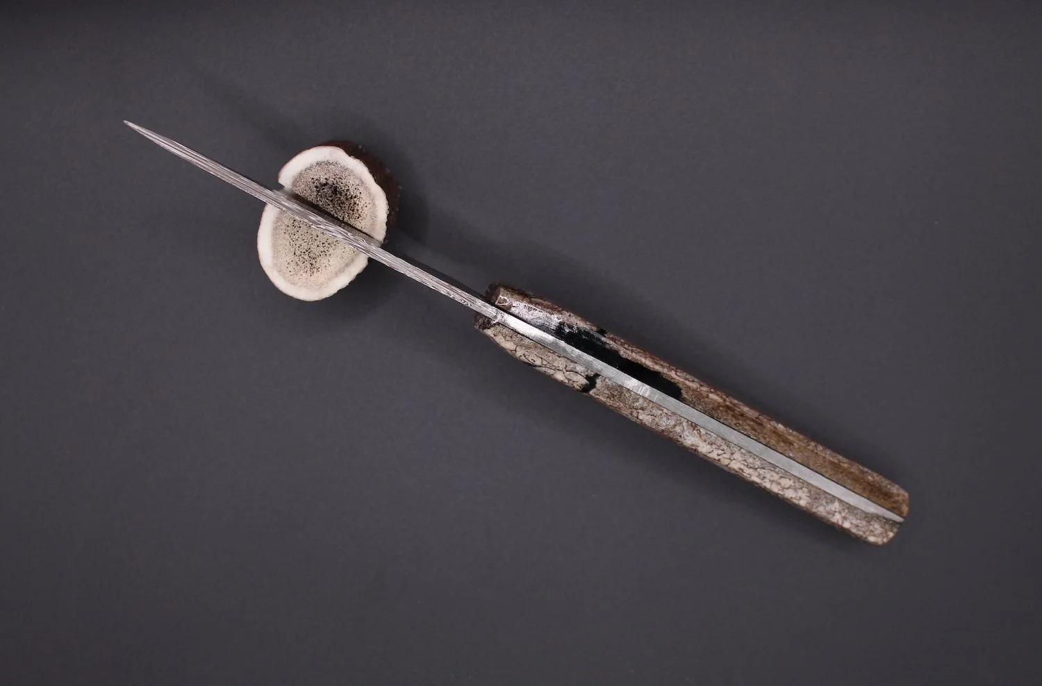 Couteau fixe dino Sophie Fauré A2.JPG