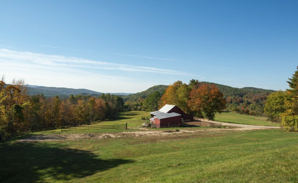 Screenshot 2025-12-30 at 1.48.44 PM.png