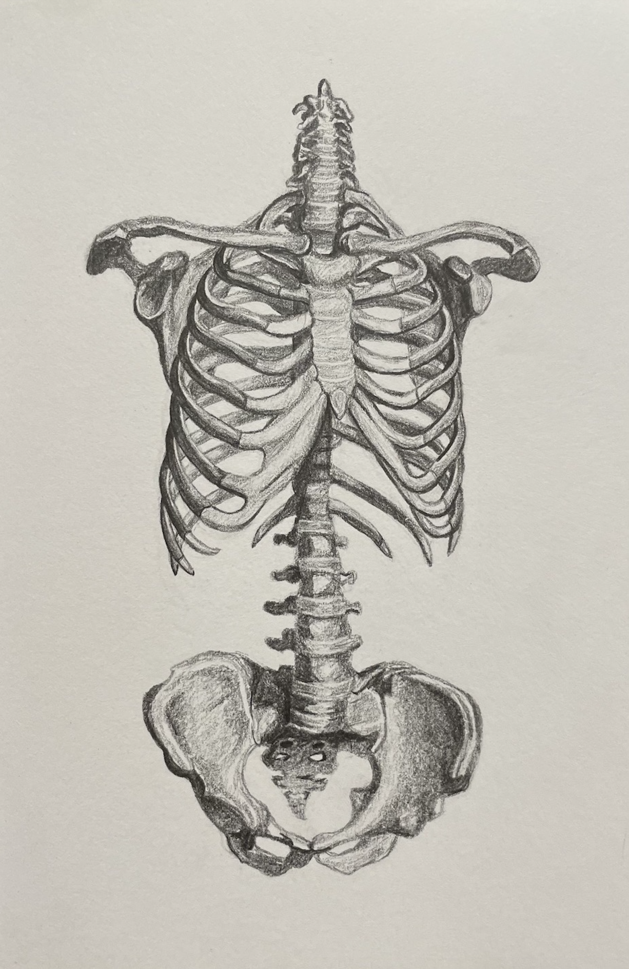 Skeleton, graphite (2022)