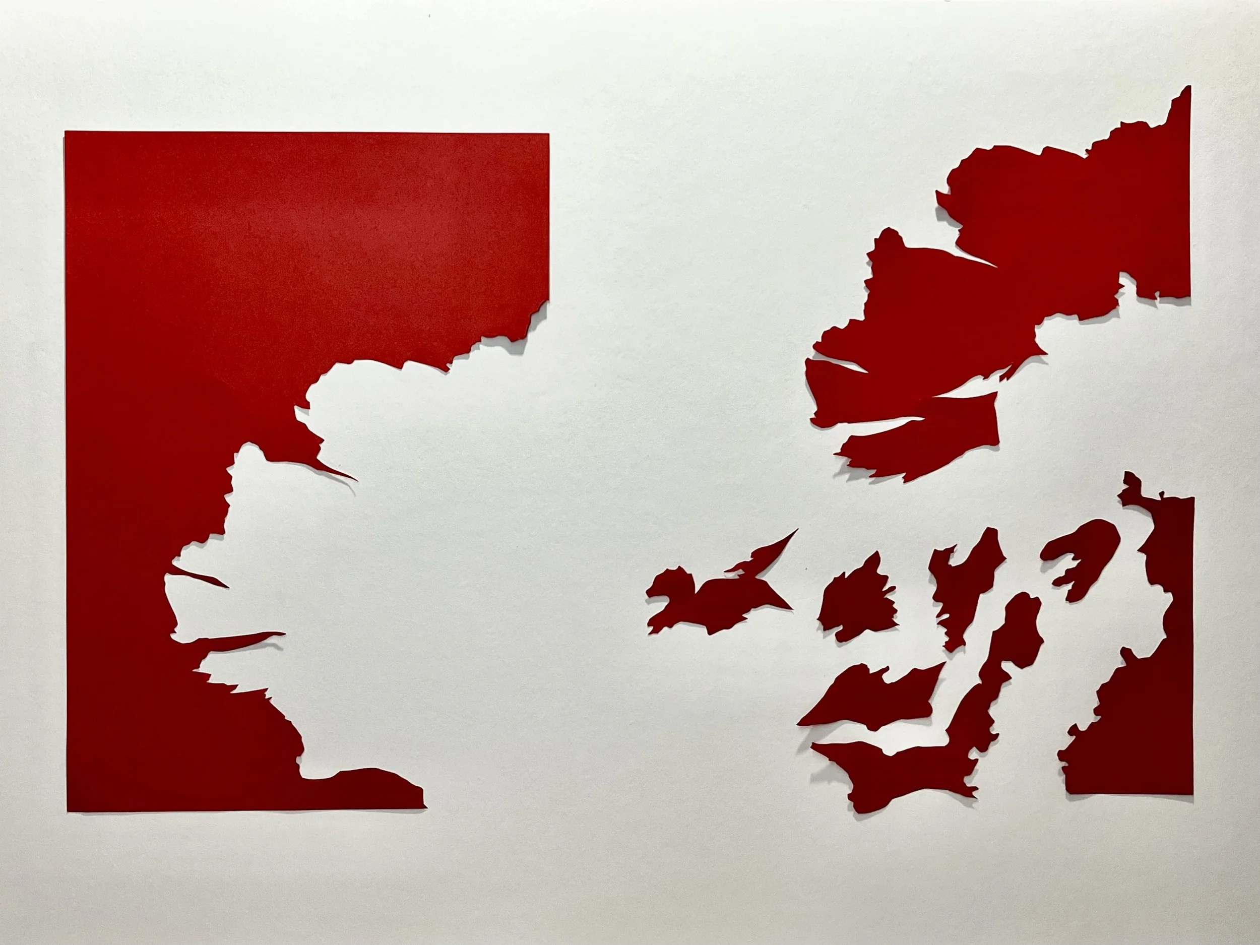 Red paper cutouts with sharpe but organic edges like a puzzle placed on a white background.