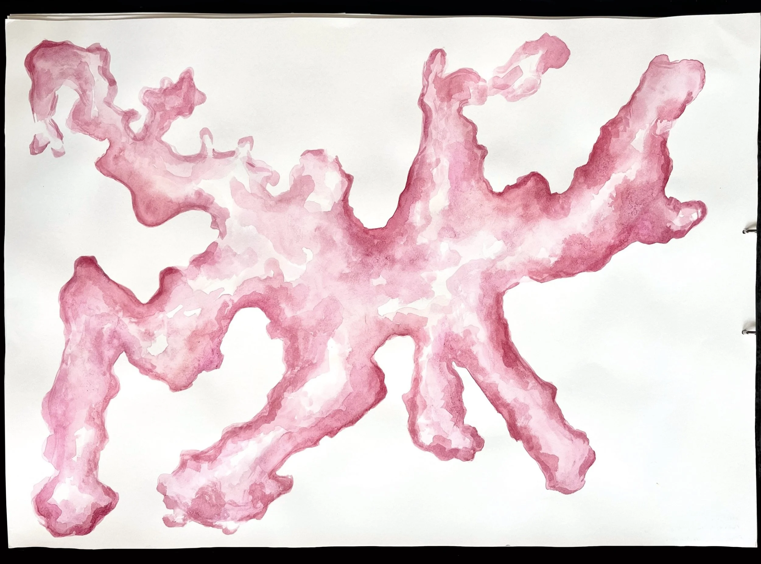 A watercolor painting of a pink organic shape on white paper.