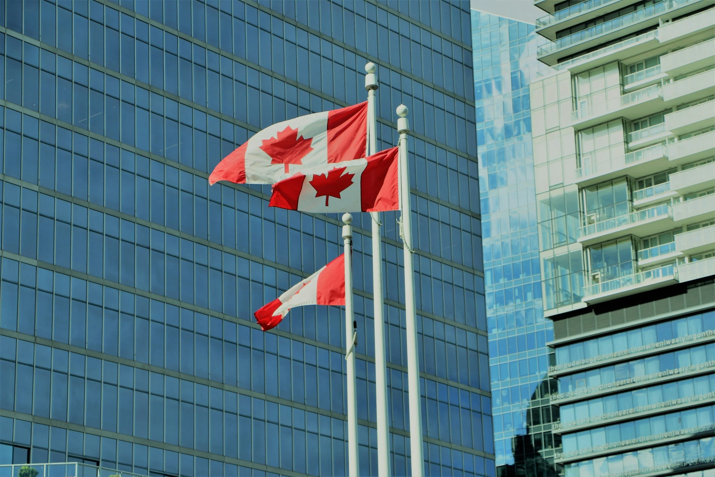 Three Canadian flags flying on tall poles in front of modern glass office buildings.
