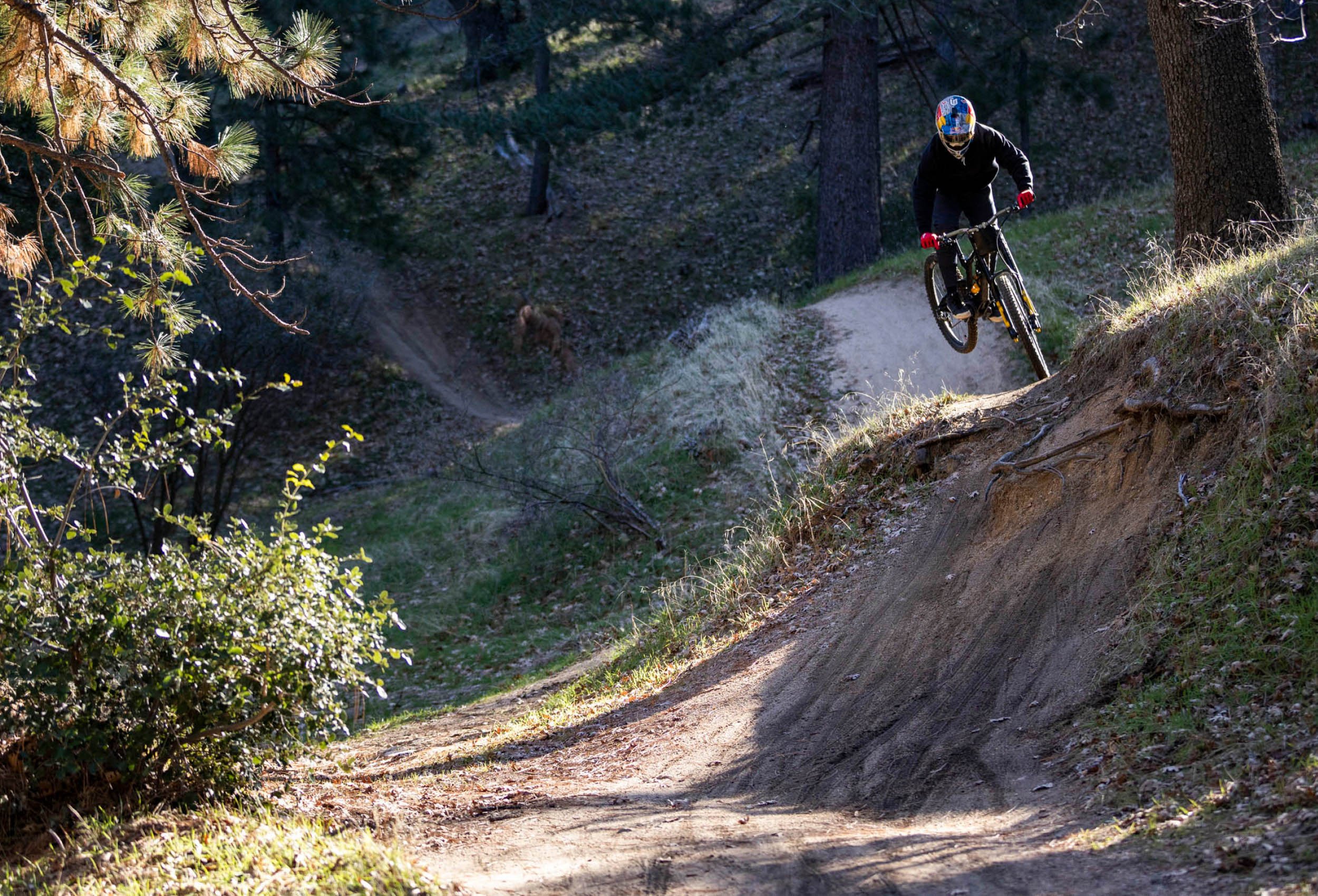 Timeless-Mtb-316-LoicBruni-SantaCruzBikes-Crestline-DH-ChrisWellhausen.jpg