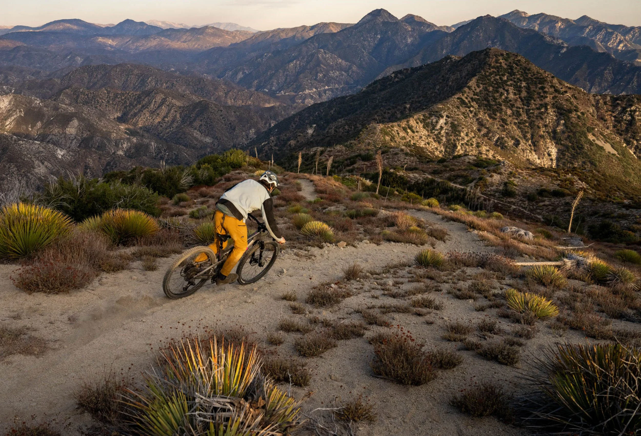 Timeless-Mtb-373-TravisEngel-SanGabrielMtns-Ca-ChrisWellhausen.jpg