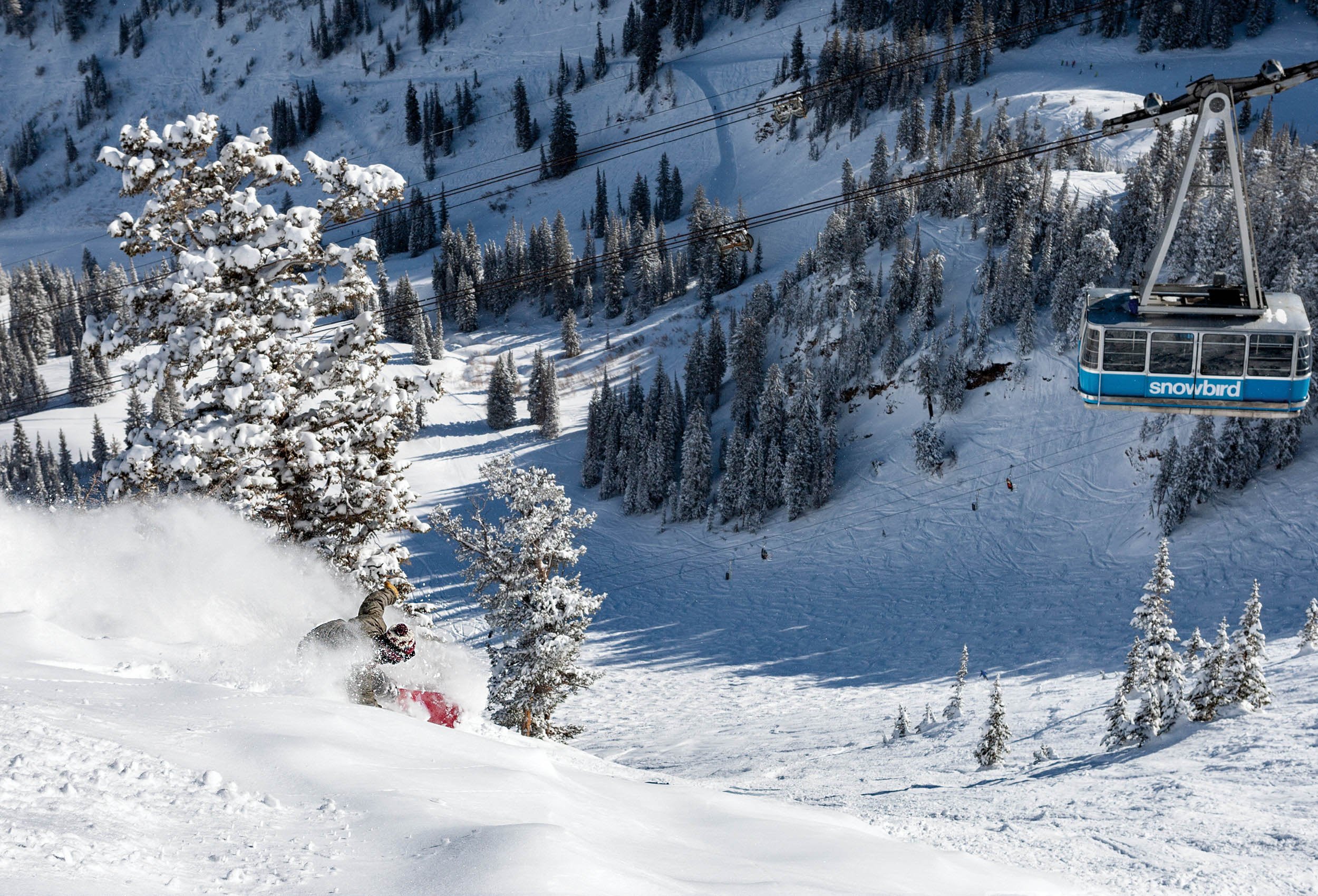 Snowboarding-101-Snowbird-Utah-ChrisWellhausen.JPG