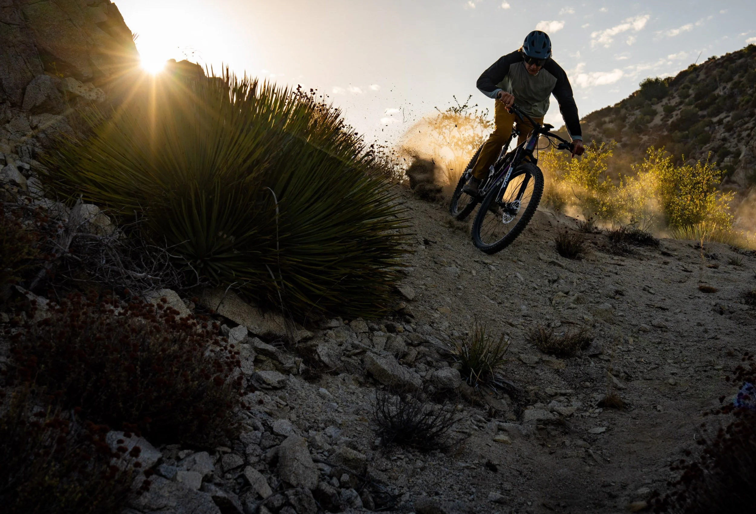 Timeless-Mtb-376-TravisEngel-SanGabrielMtns-Ca-ChrisWellhausen.jpg