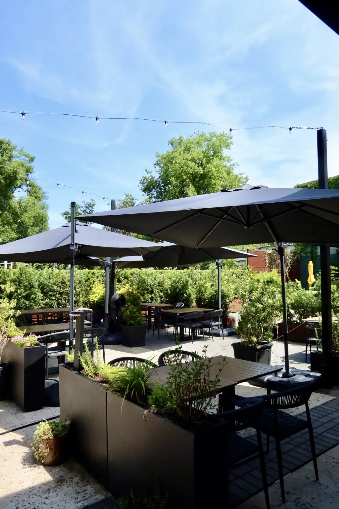 Why the Starland District Has Become the New Must-Visit Savannah Restaurant Scene