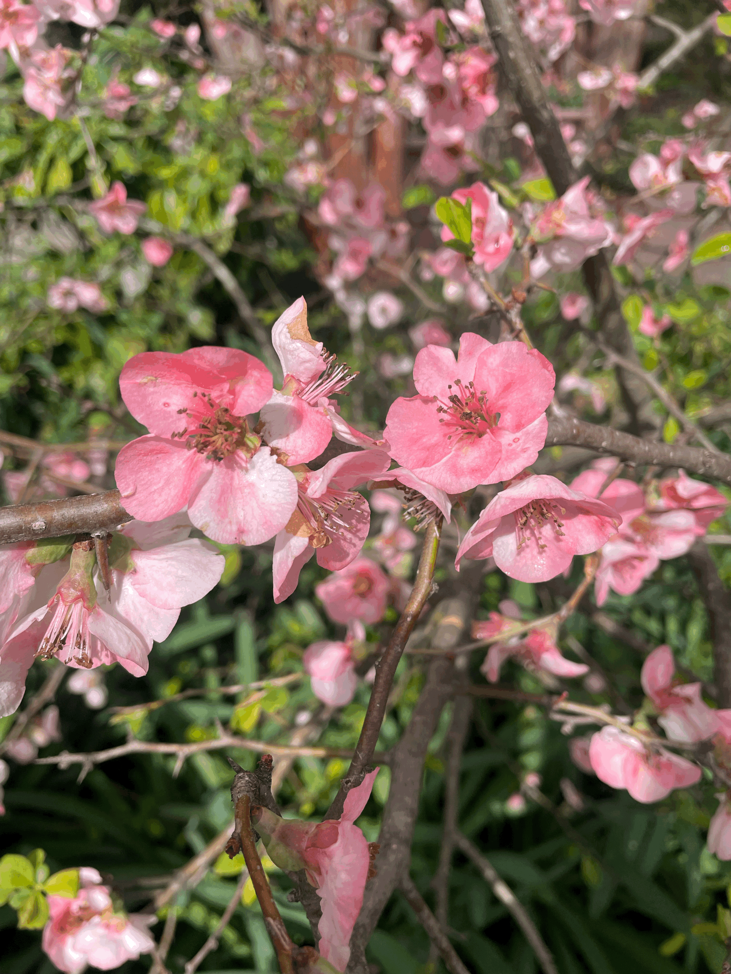 April 24th - Caregiver Yoga Circle